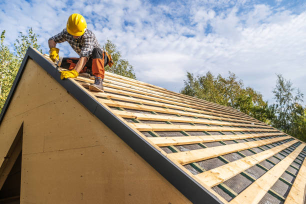 Best Storm Damage Roof Repair  in Wonder Lake, IL