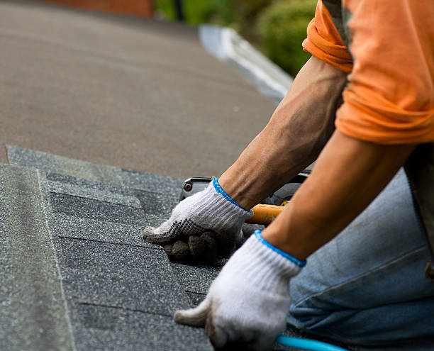 Best Roof Maintenance Services  in Wonder Lake, IL